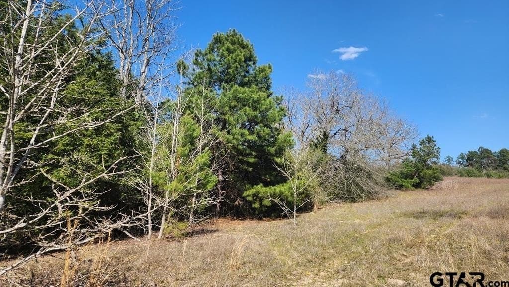 73.51 acres in Anderson County - photo 21