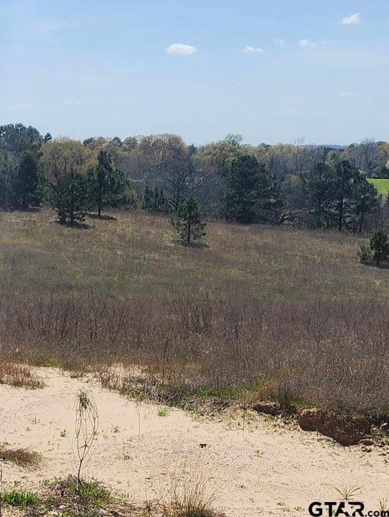 73.51 acres in Anderson County - photo 24