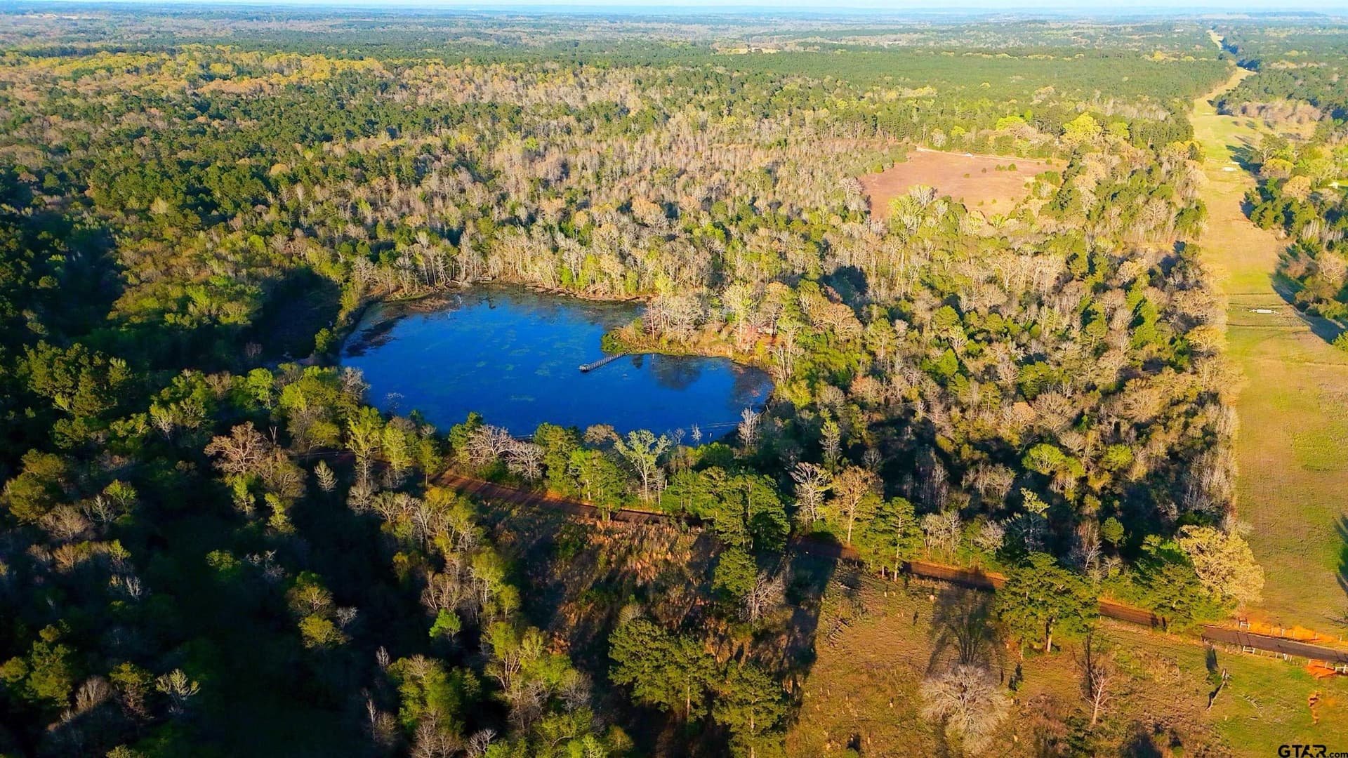 73.51 acres in Anderson County - photo 6