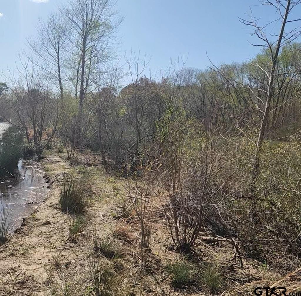 73.51 acres in Anderson County - photo 28