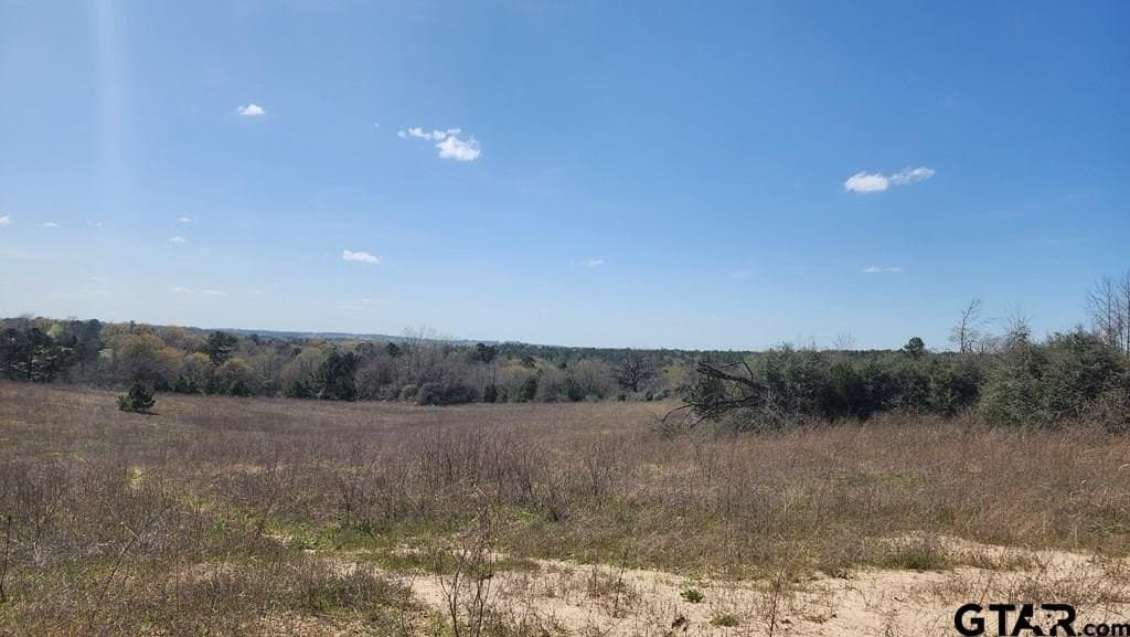 73.51 acres in Anderson County - photo 9