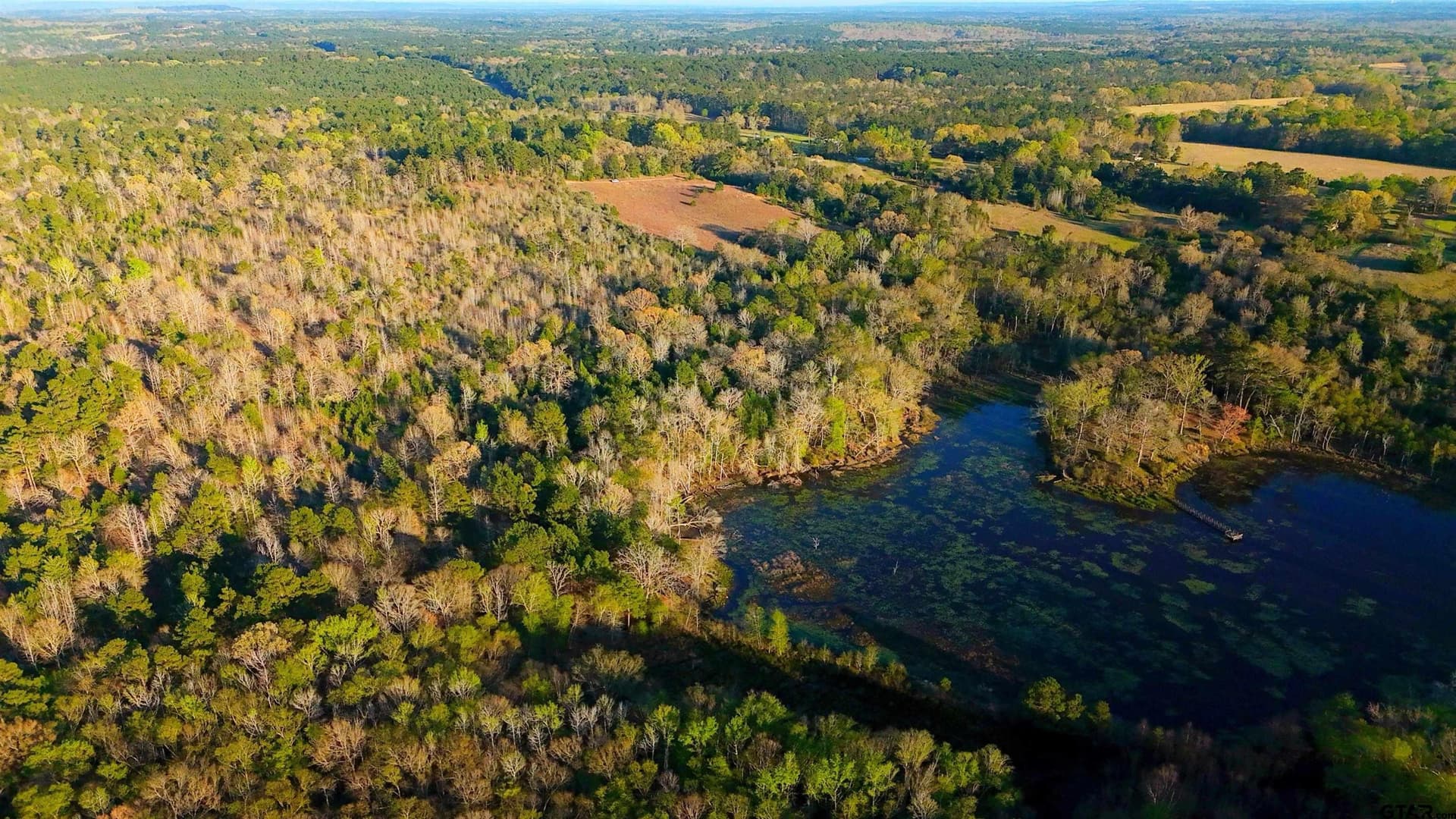 73.51 acres in Anderson County