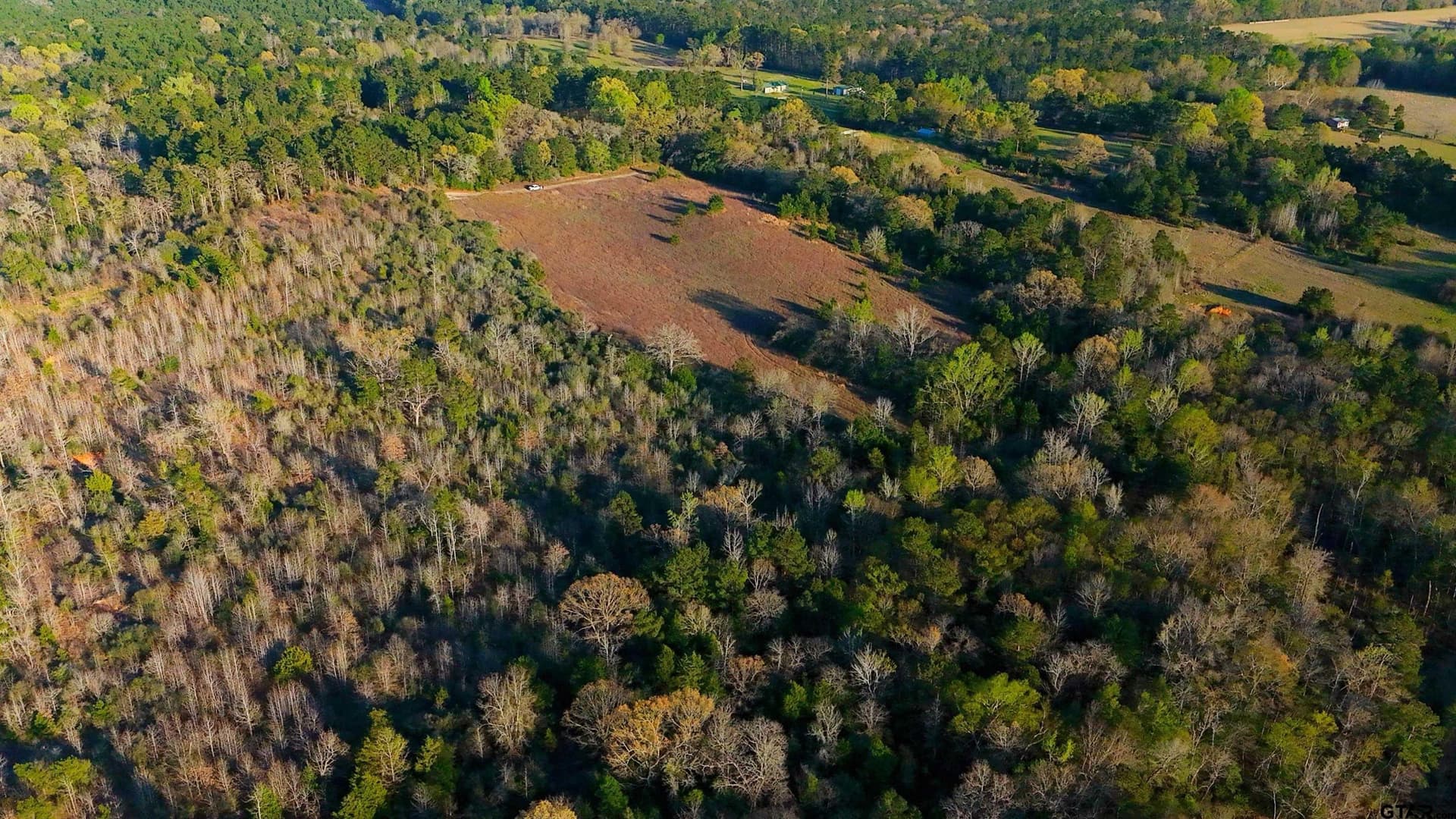 73.51 acres in Anderson County gallery image 2