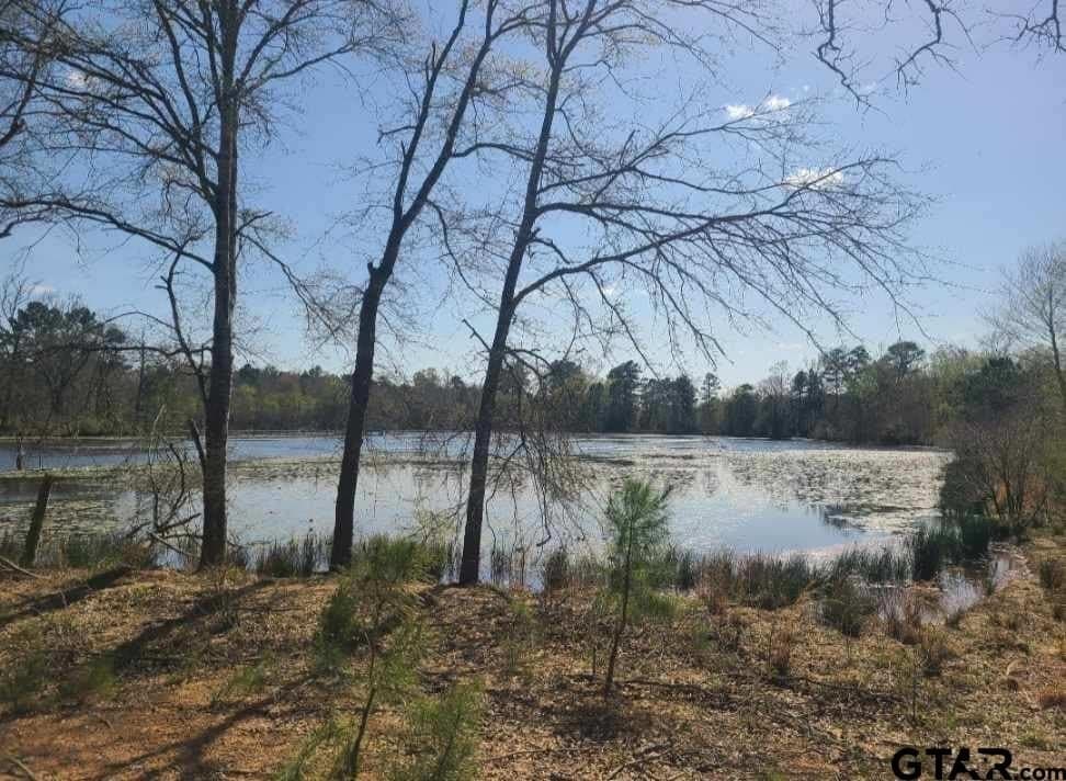 73.51 acres in Anderson County - photo 15