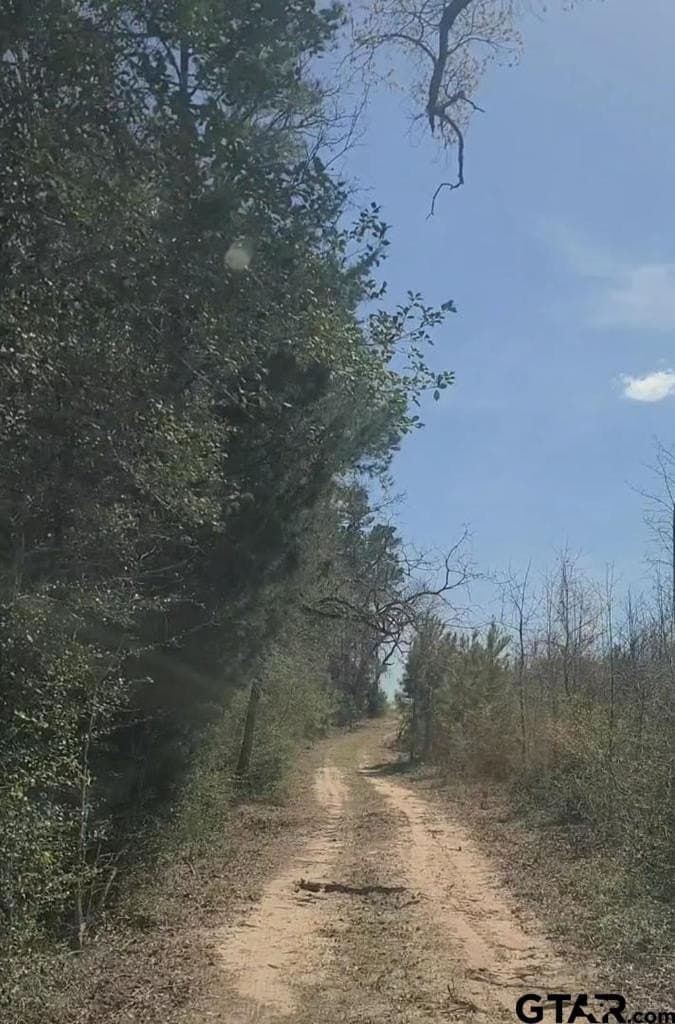 73.51 acres in Anderson County - photo 19