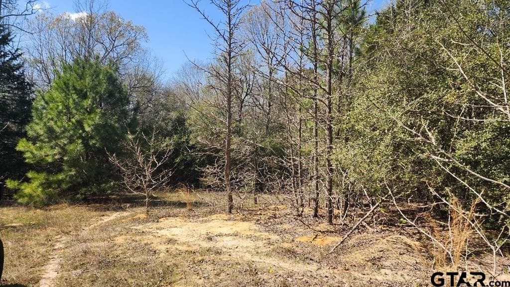 73.51 acres in Anderson County - photo 11
