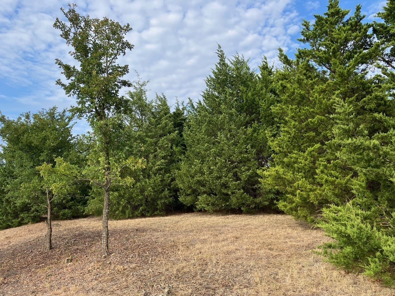 5.02 acres in Collin County - photo 3