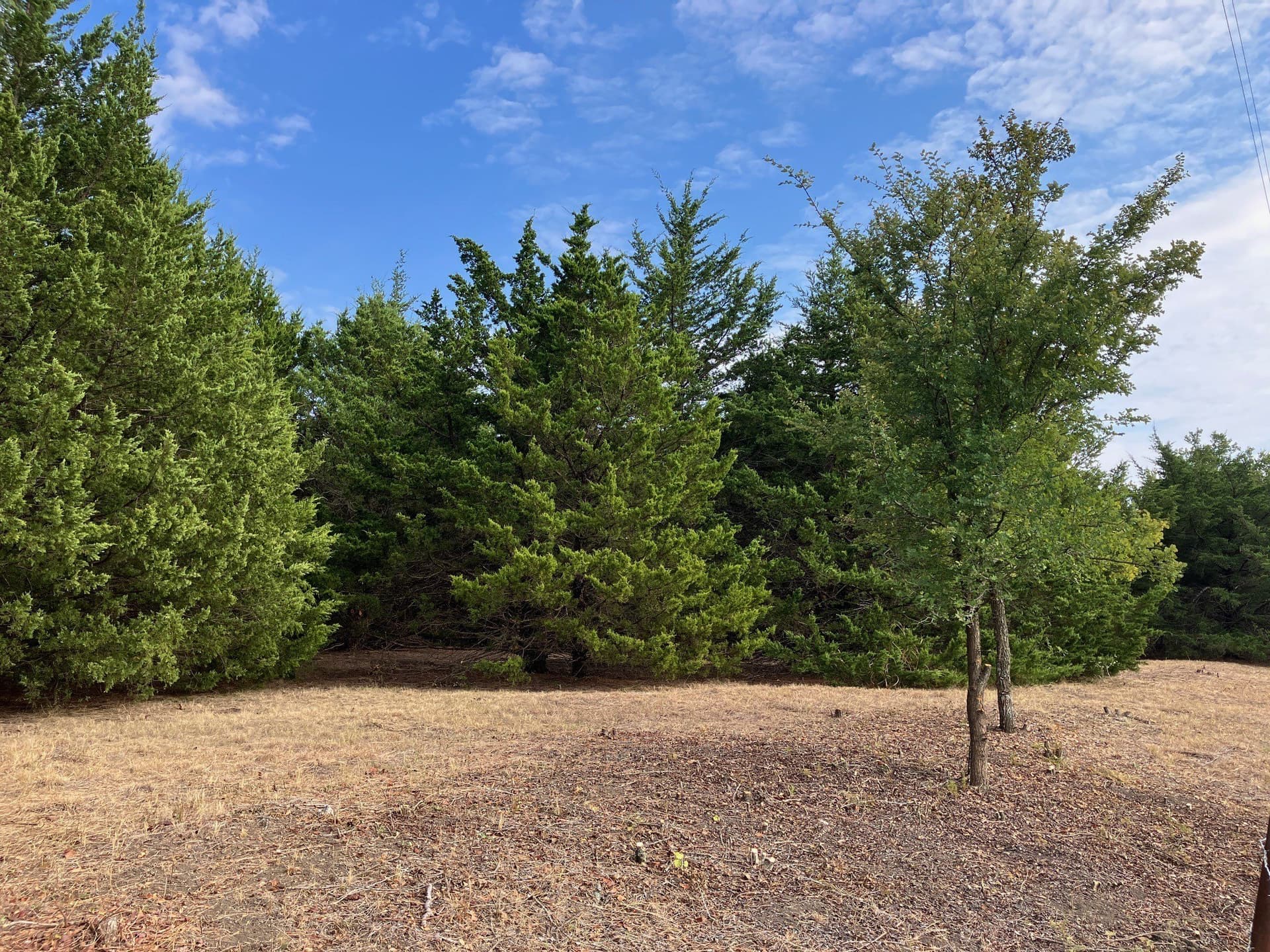 5.02 acres in Collin County