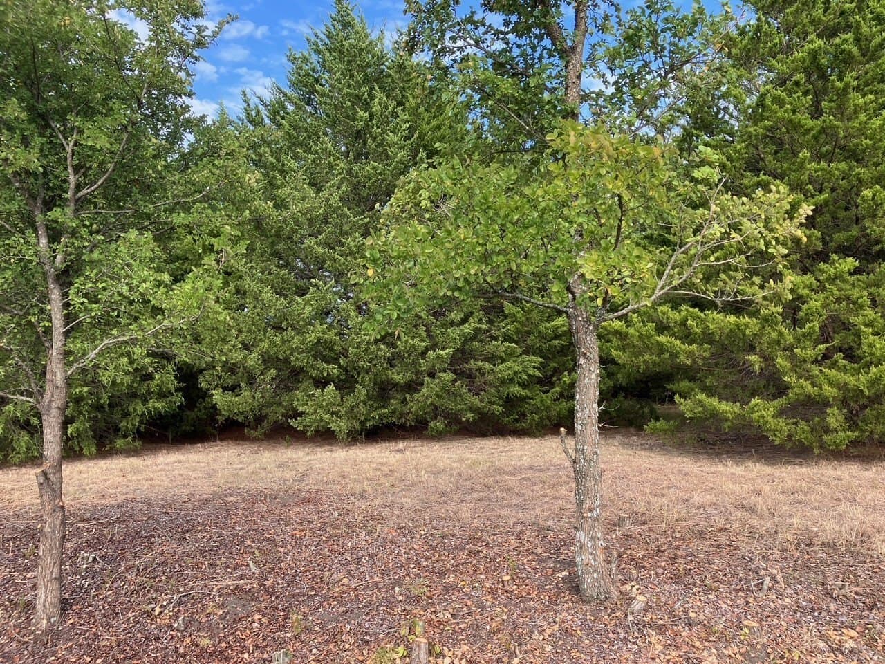 5.02 acres in Collin County - photo 2