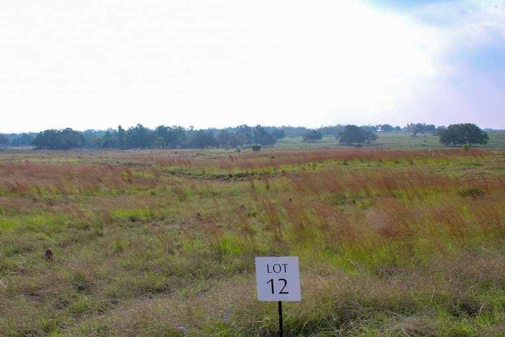 9.88 acres in Kerr County gallery image 2