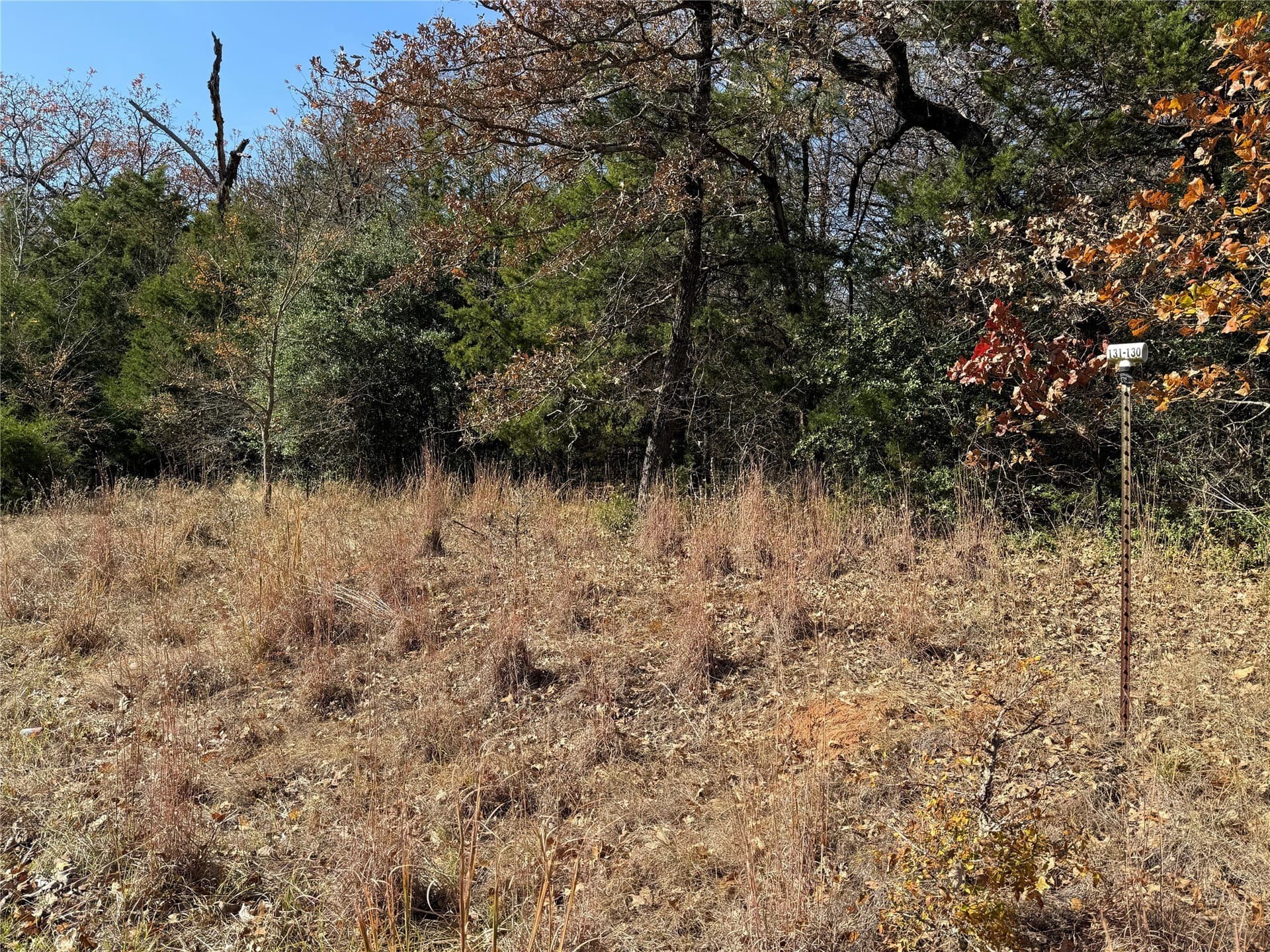 1 acres in Freestone County - photo 12