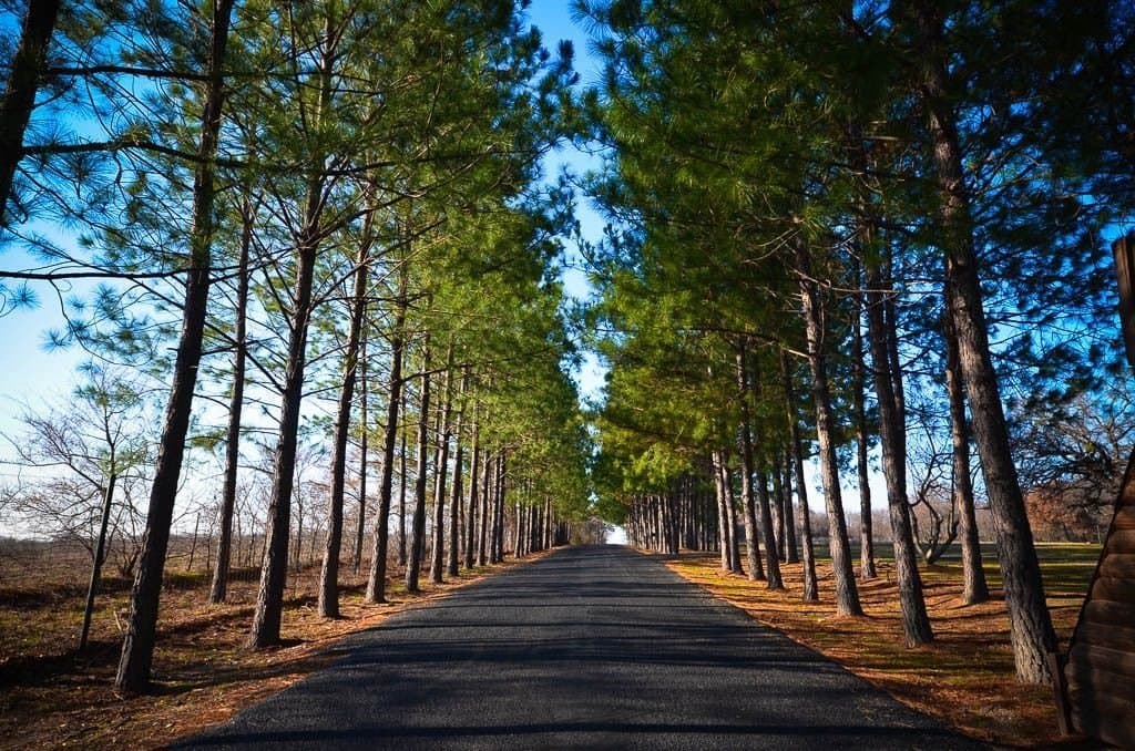 1 acres in Freestone County - photo 3
