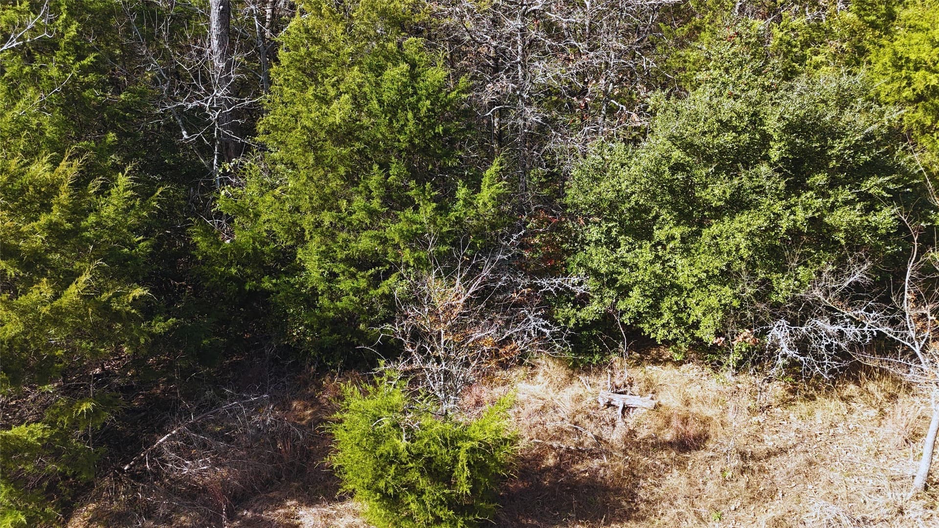 1 acres in Freestone County - photo 17