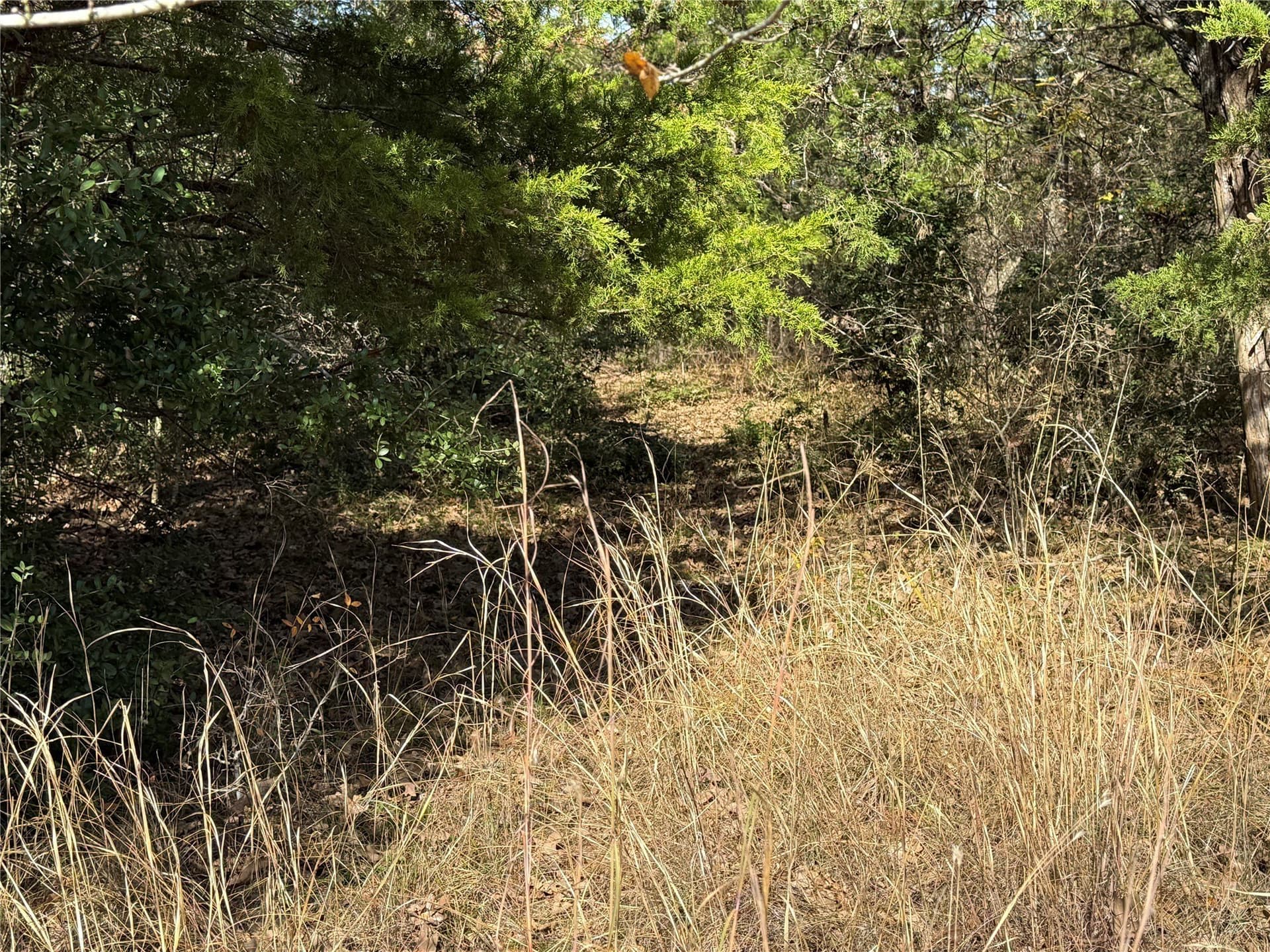 1 acres in Freestone County - photo 14