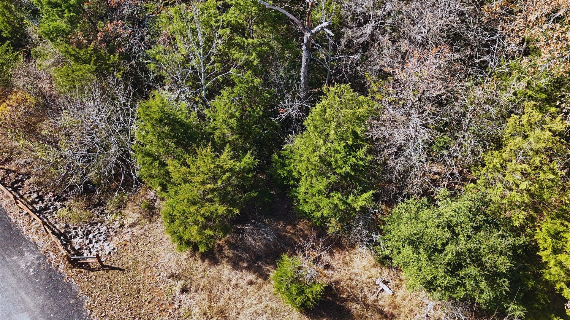 1 acres in Freestone County - photo 16