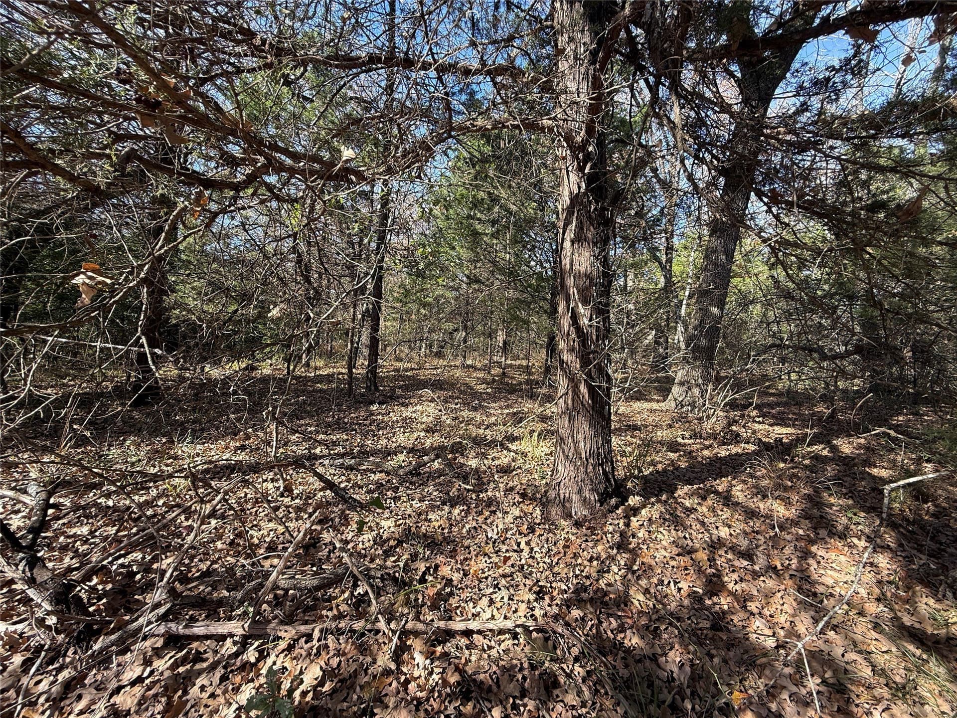 1 acres in Freestone County - photo 13