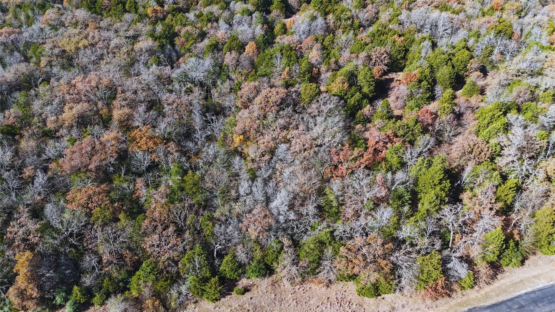 1 acres in Freestone County - photo 18
