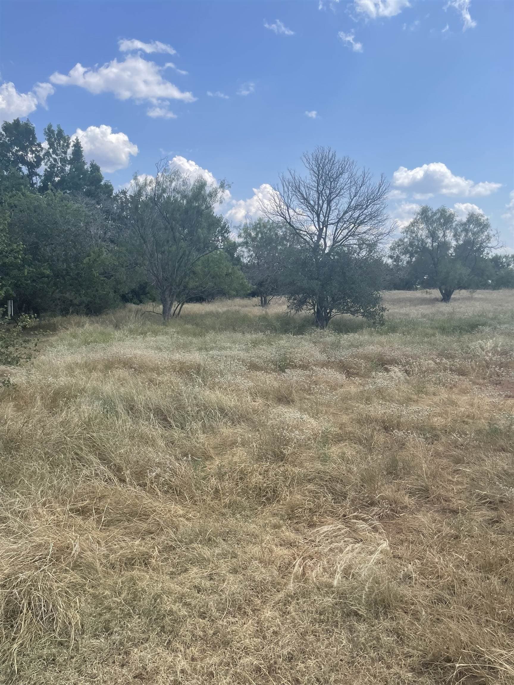 0.24 acres in Llano County gallery image 3