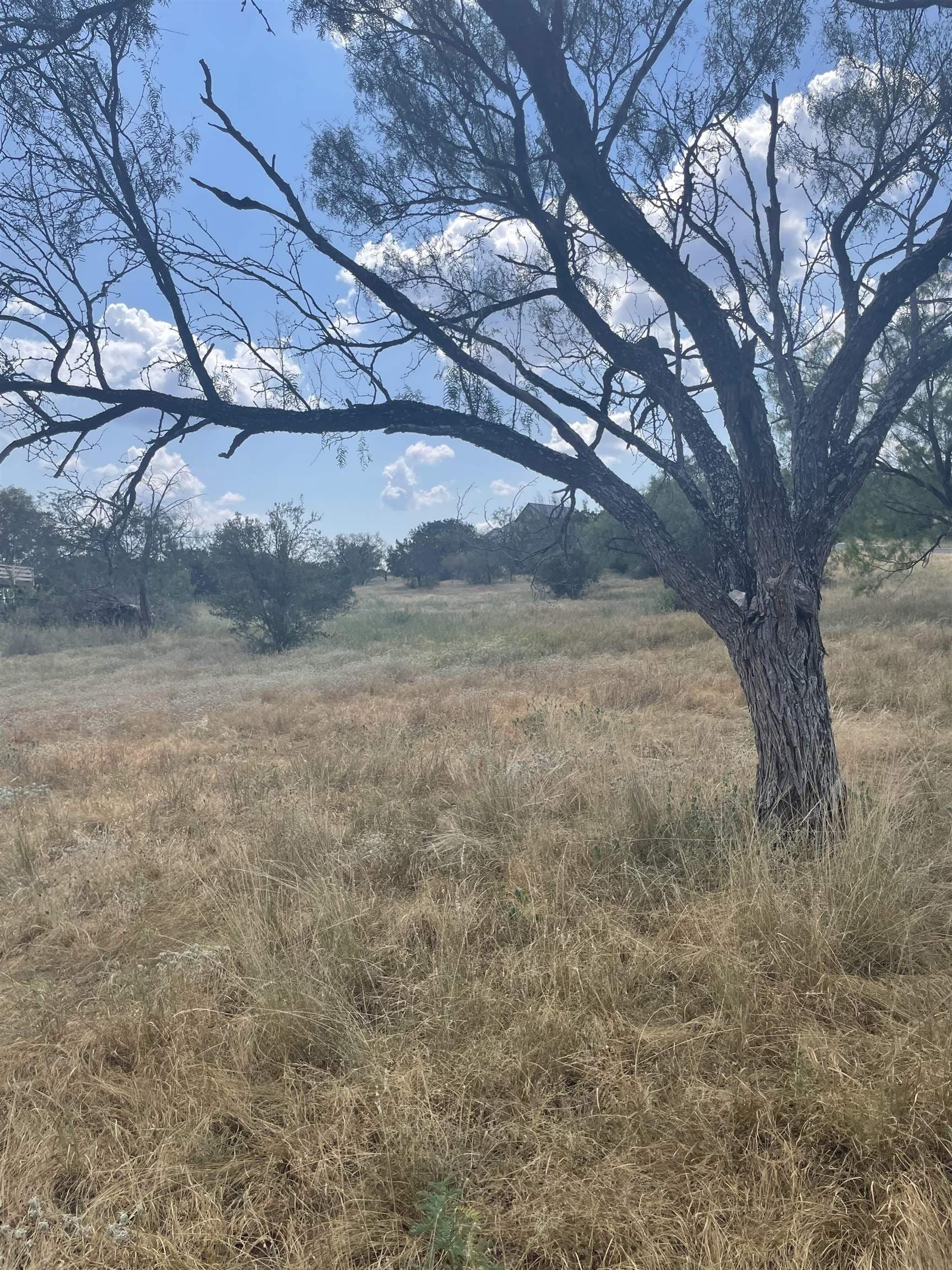 0.24 acres in Llano County gallery image 2