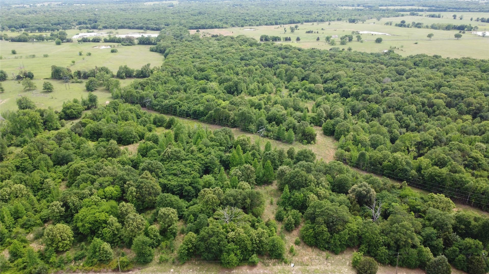 39.71 acres in Van Zandt County featured view
