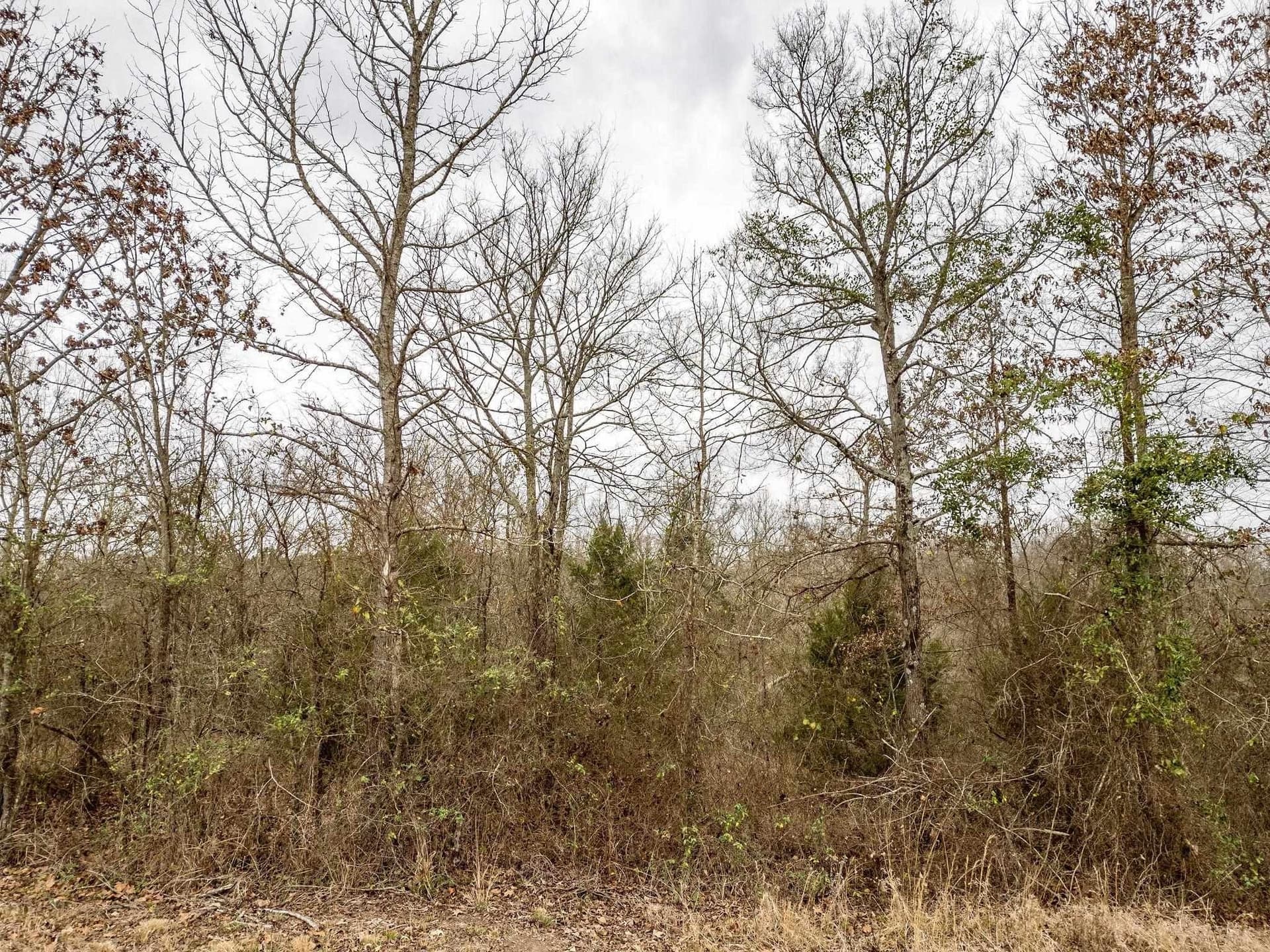 10 acres in Texas County - photo 7