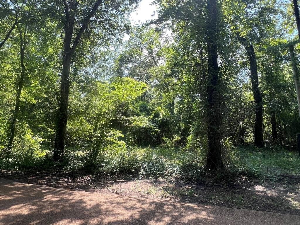 12.5 acres in Van Zandt County featured view