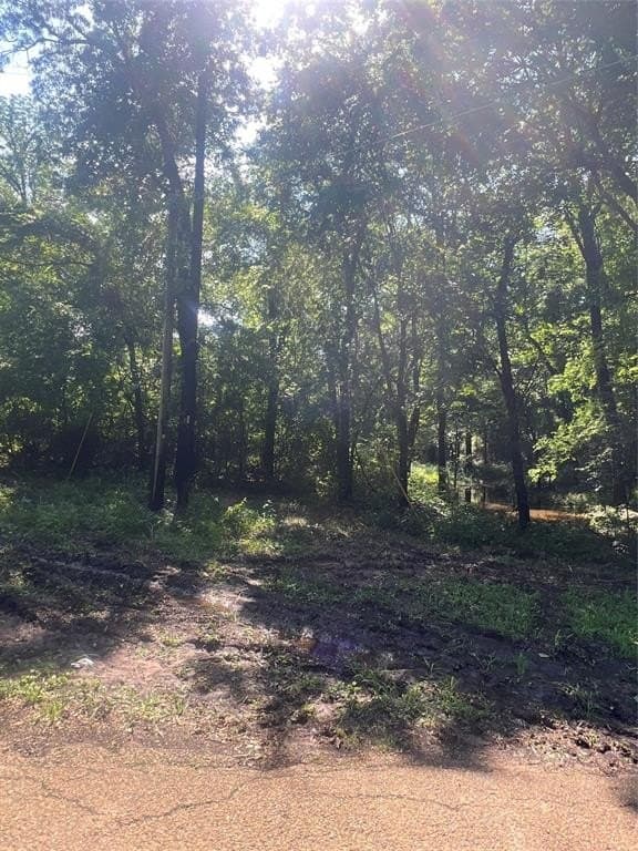 12.5 acres in Van Zandt County gallery image 4