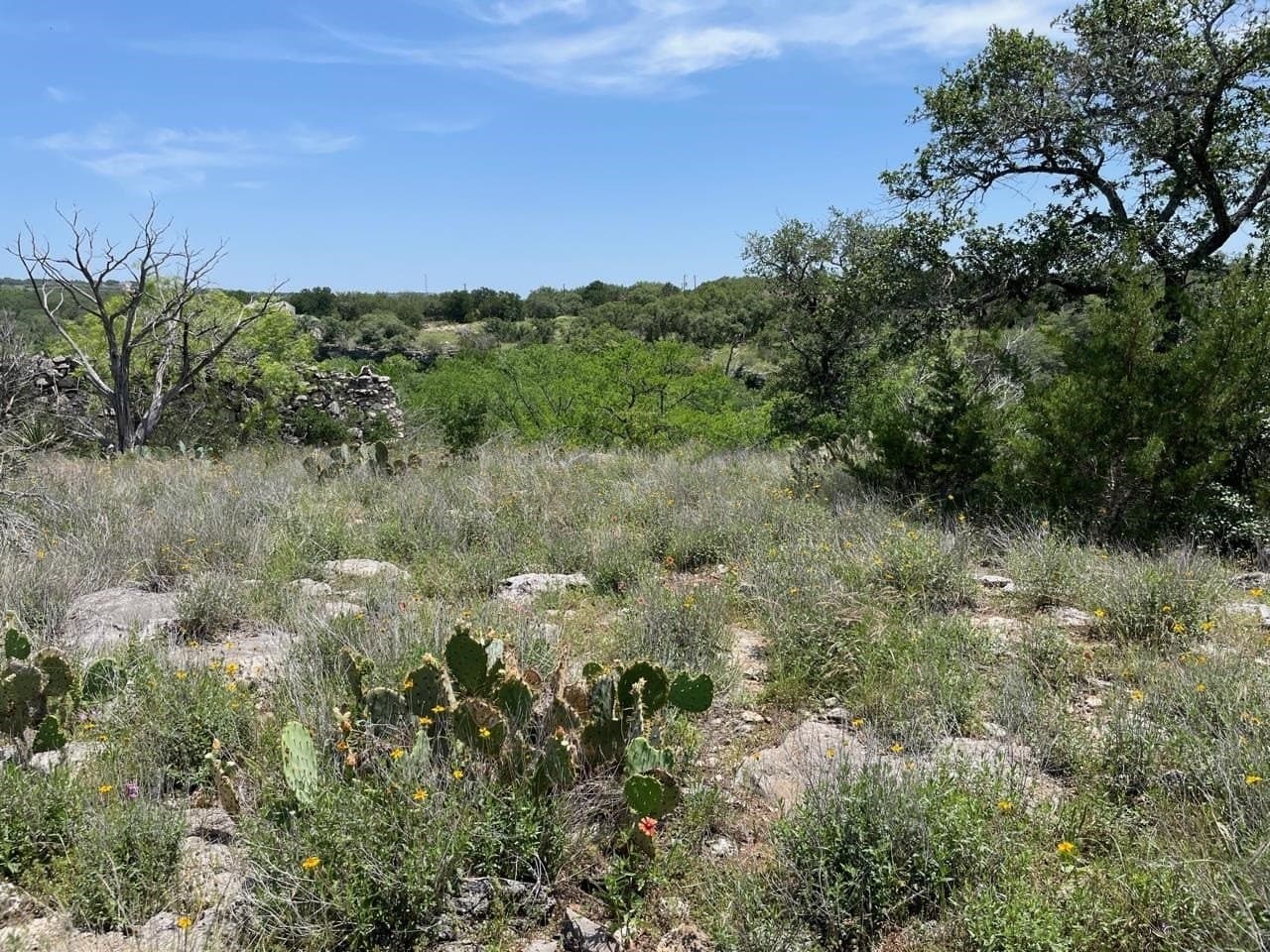 1.51 acres in Travis County - photo 11