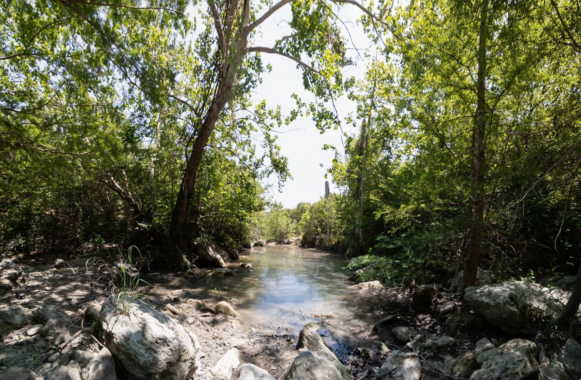1.51 acres in Travis County - photo 10