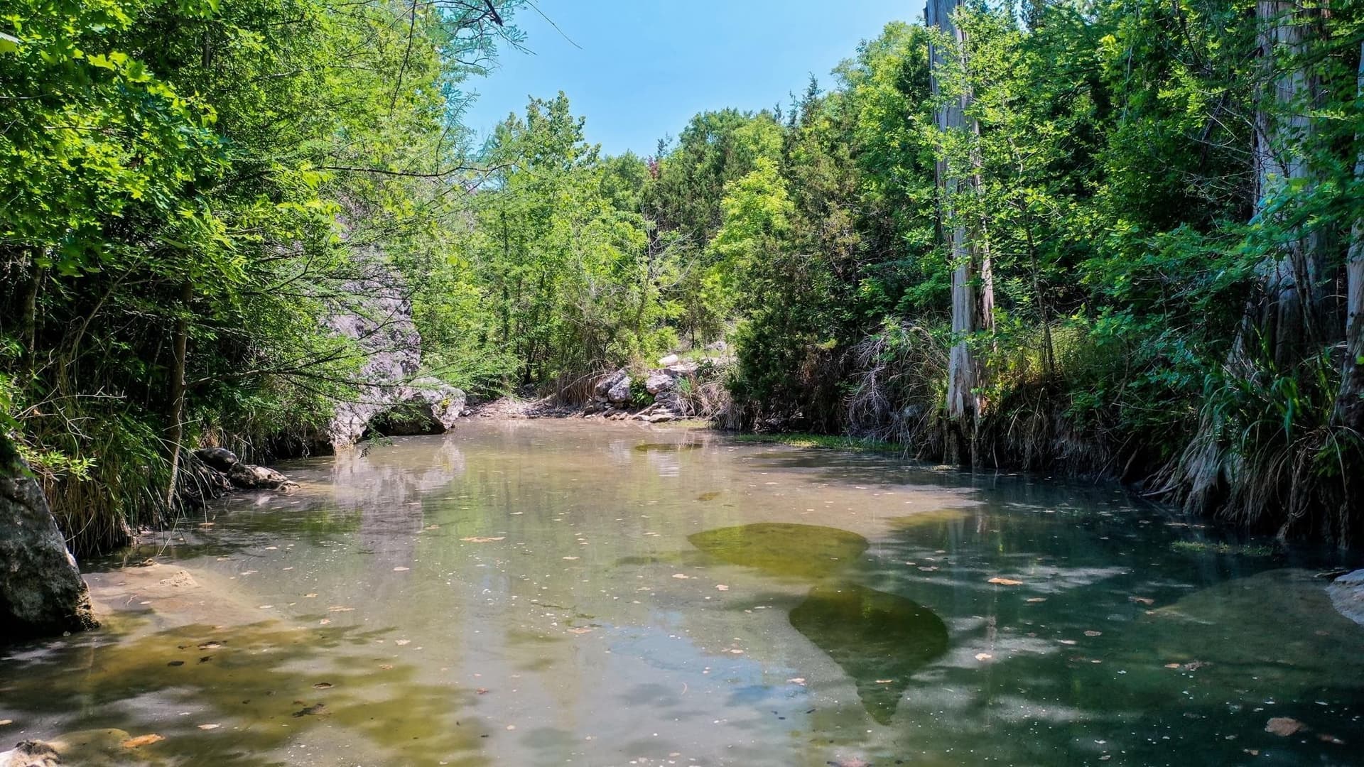 1.51 acres in Travis County - photo 8