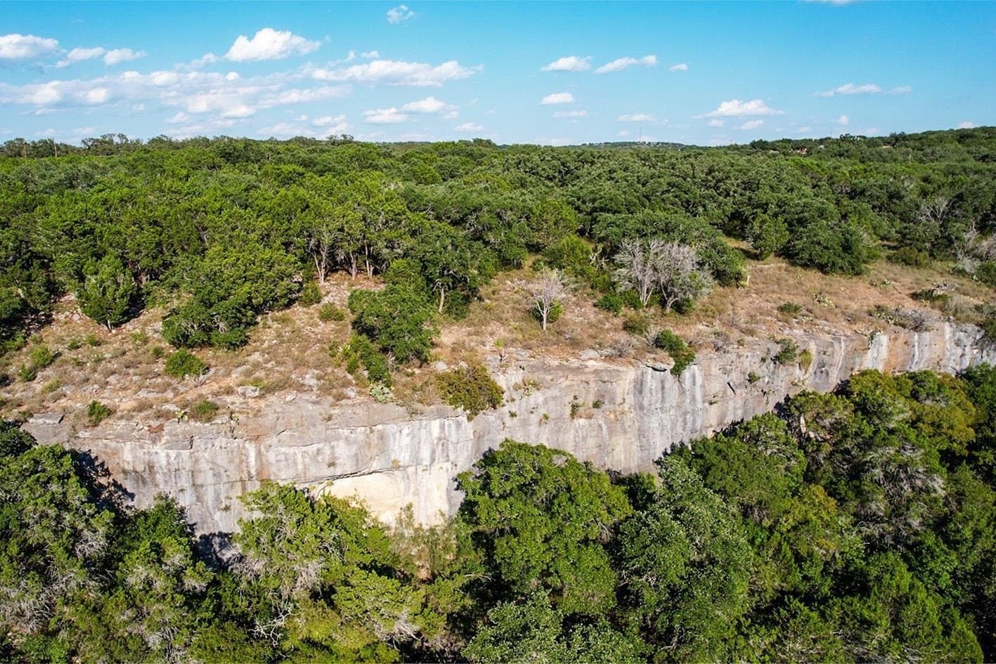 1.51 acres in Travis County gallery image 2