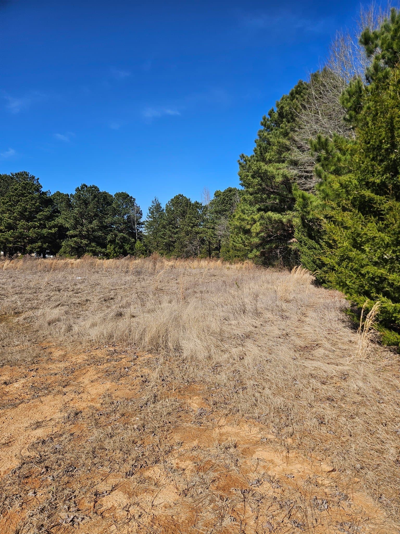 1.5 acres in Upshur County gallery image 2