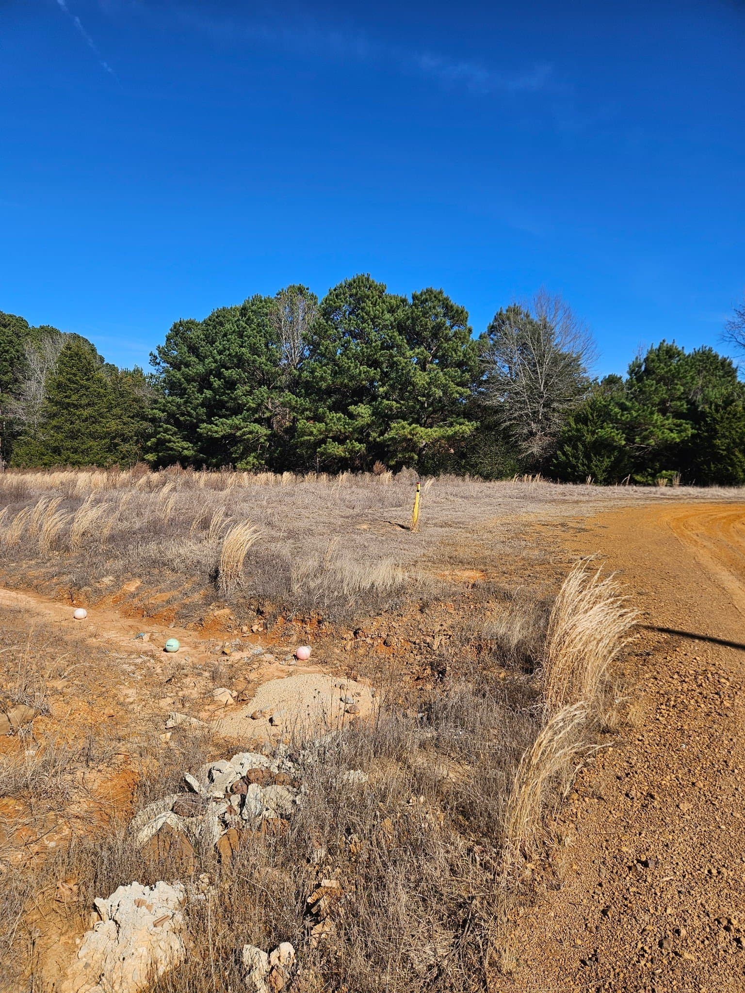 1.5 acres in Upshur County gallery image 4