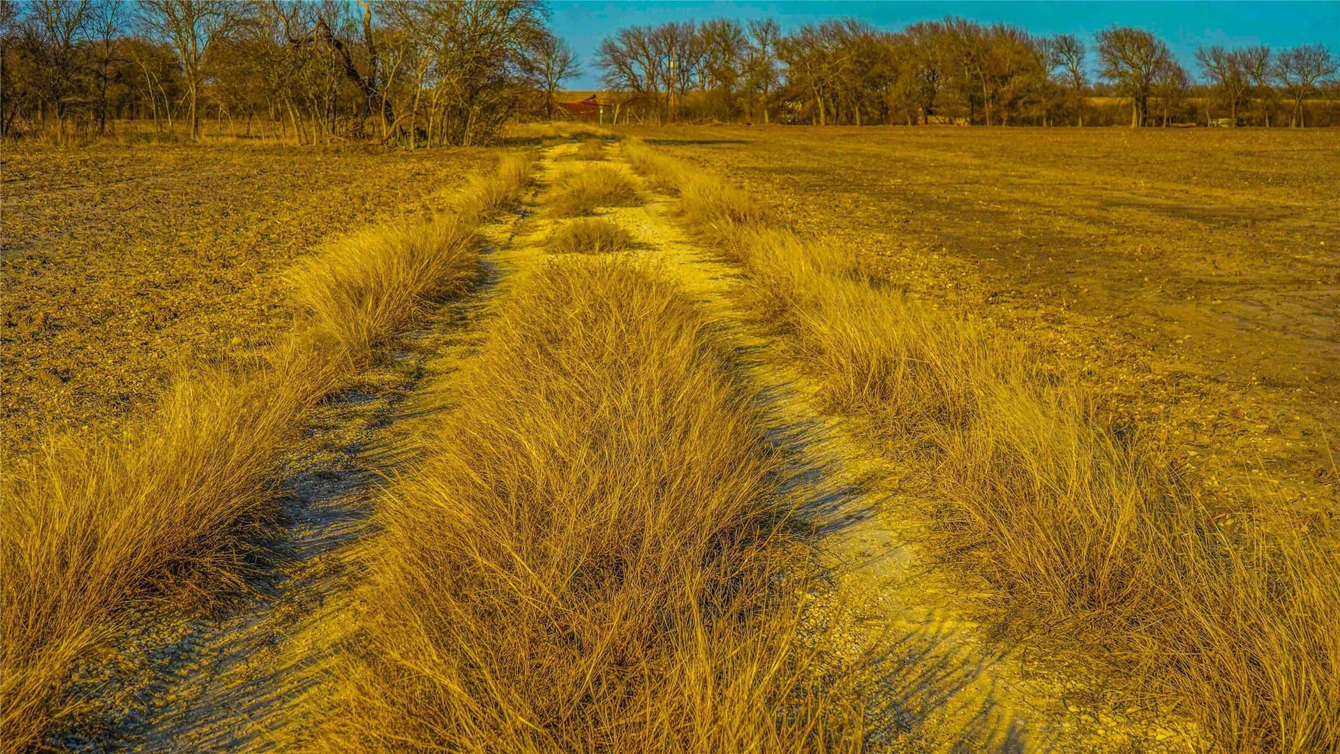 36 acres in Bell County - photo 17