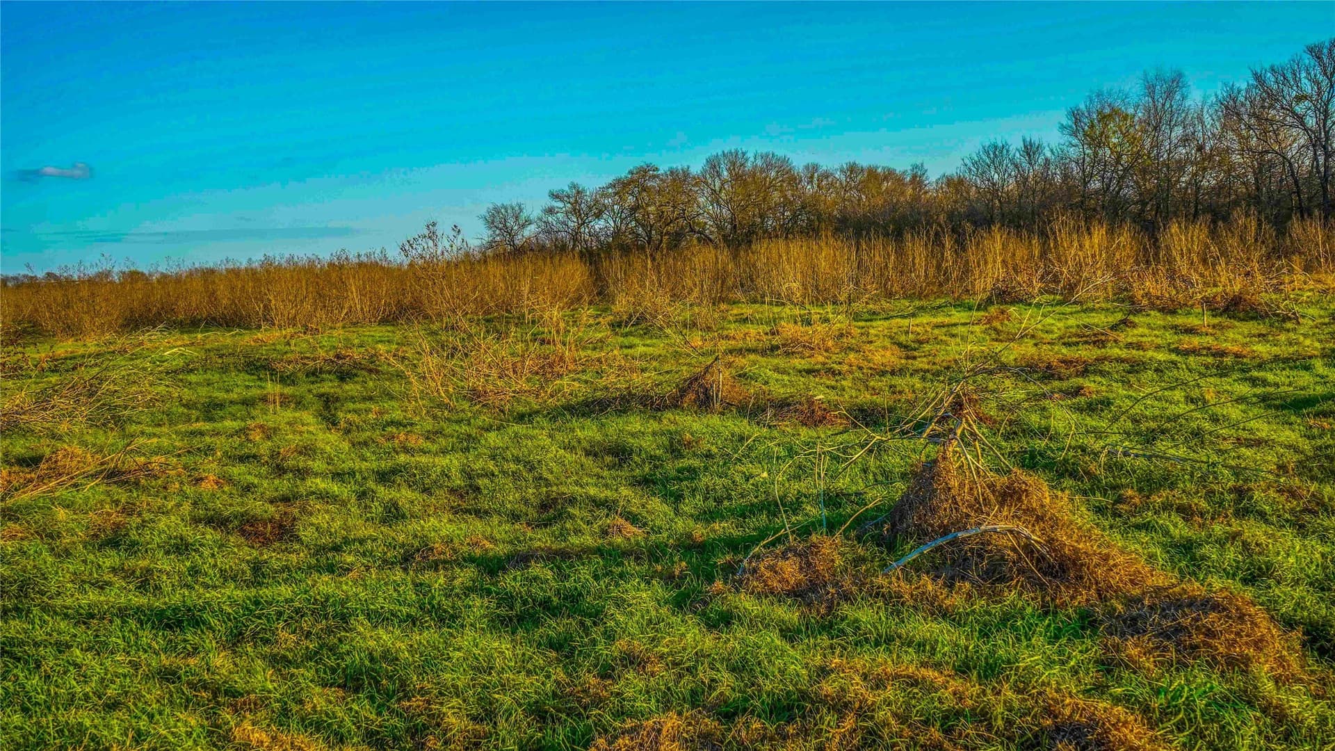 36 acres in Bell County - photo 34