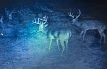 36 acres in Bell County - photo 38