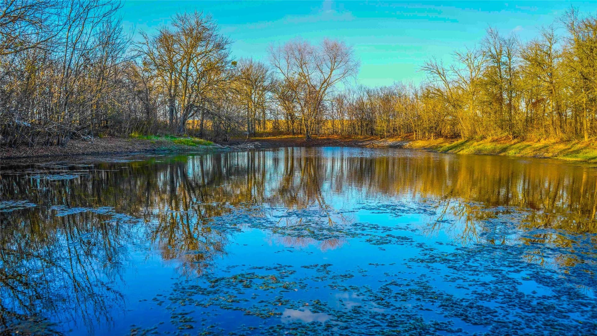36 acres in Bell County - photo 4