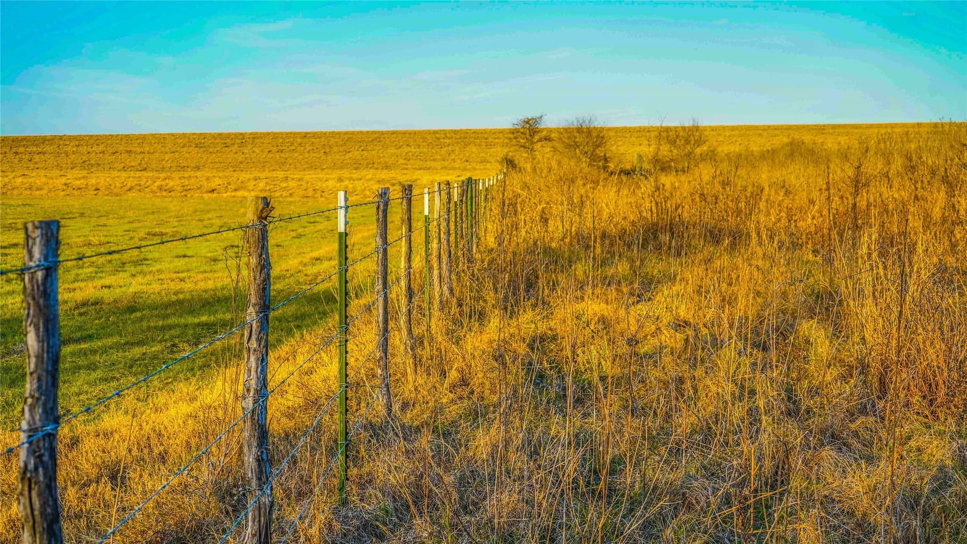 36 acres in Bell County - photo 32