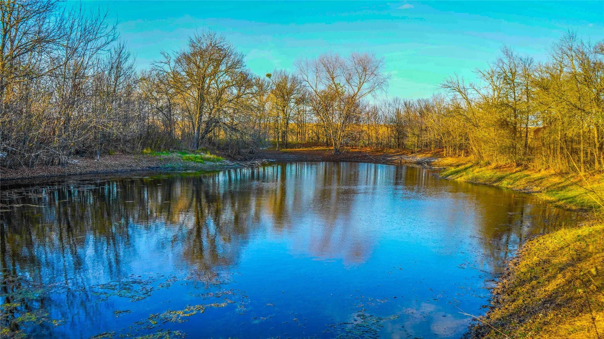 36 acres in Bell County - photo 27
