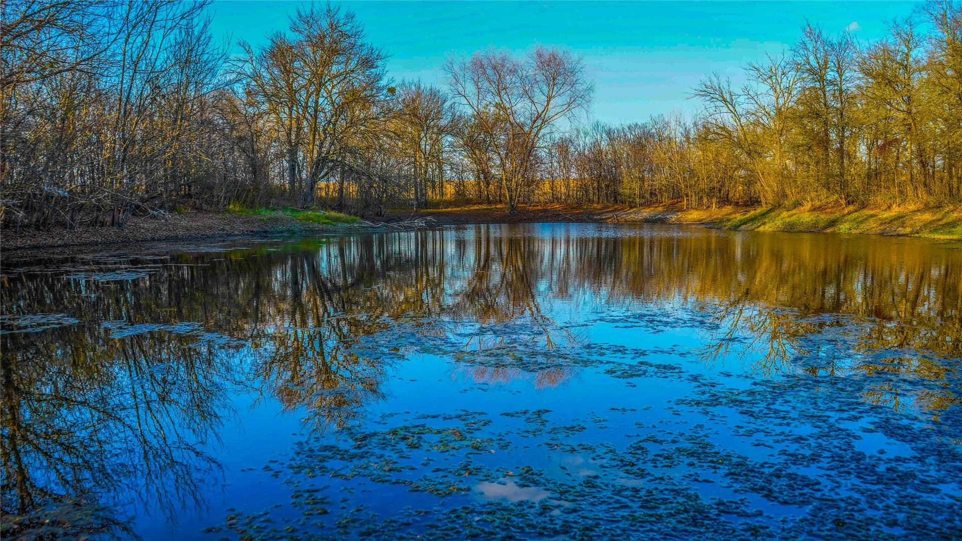 36 acres in Bell County - photo 28