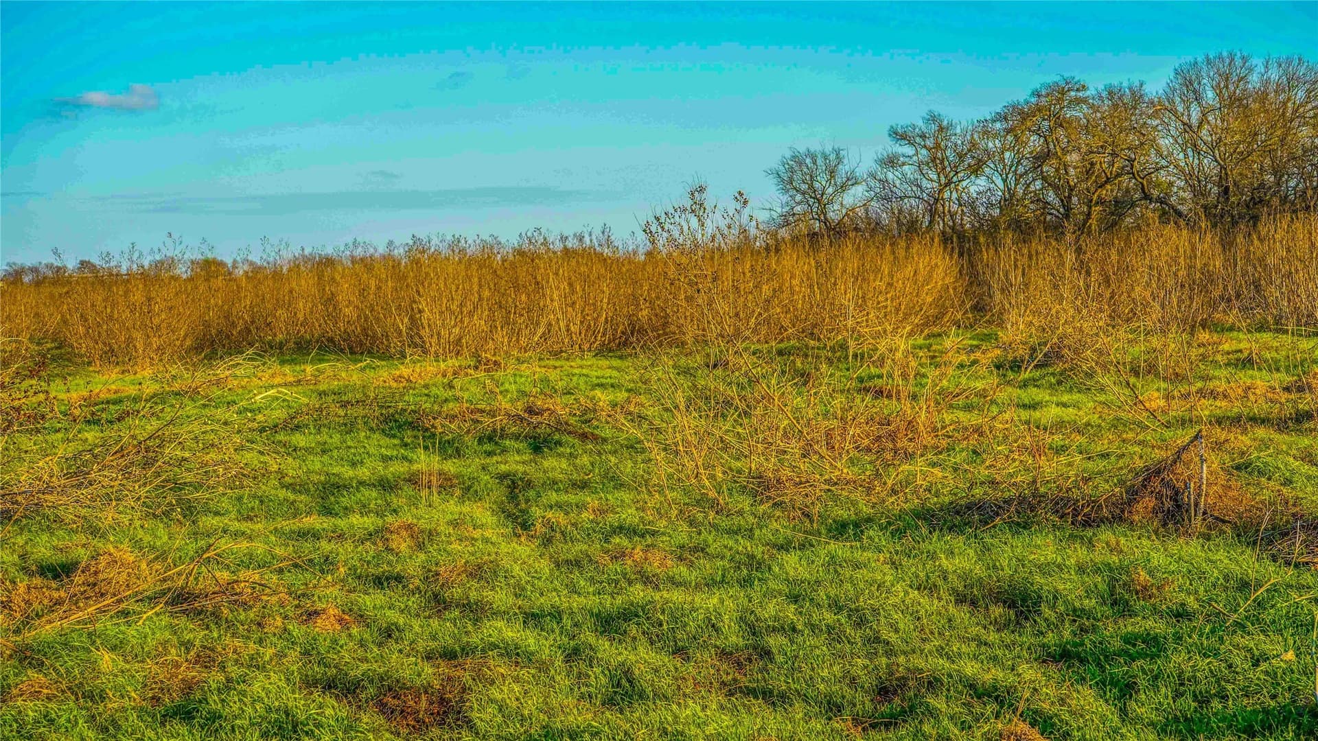 36 acres in Bell County - photo 33