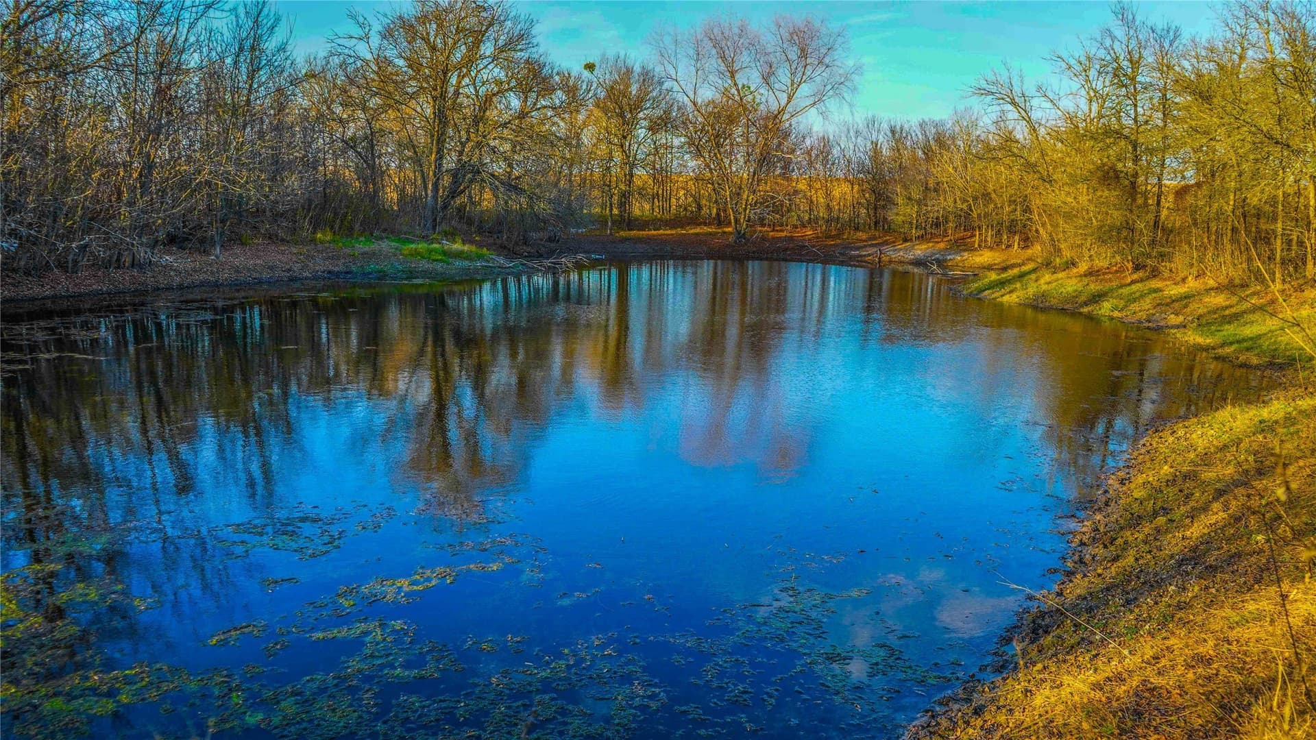 36 acres in Bell County - photo 26