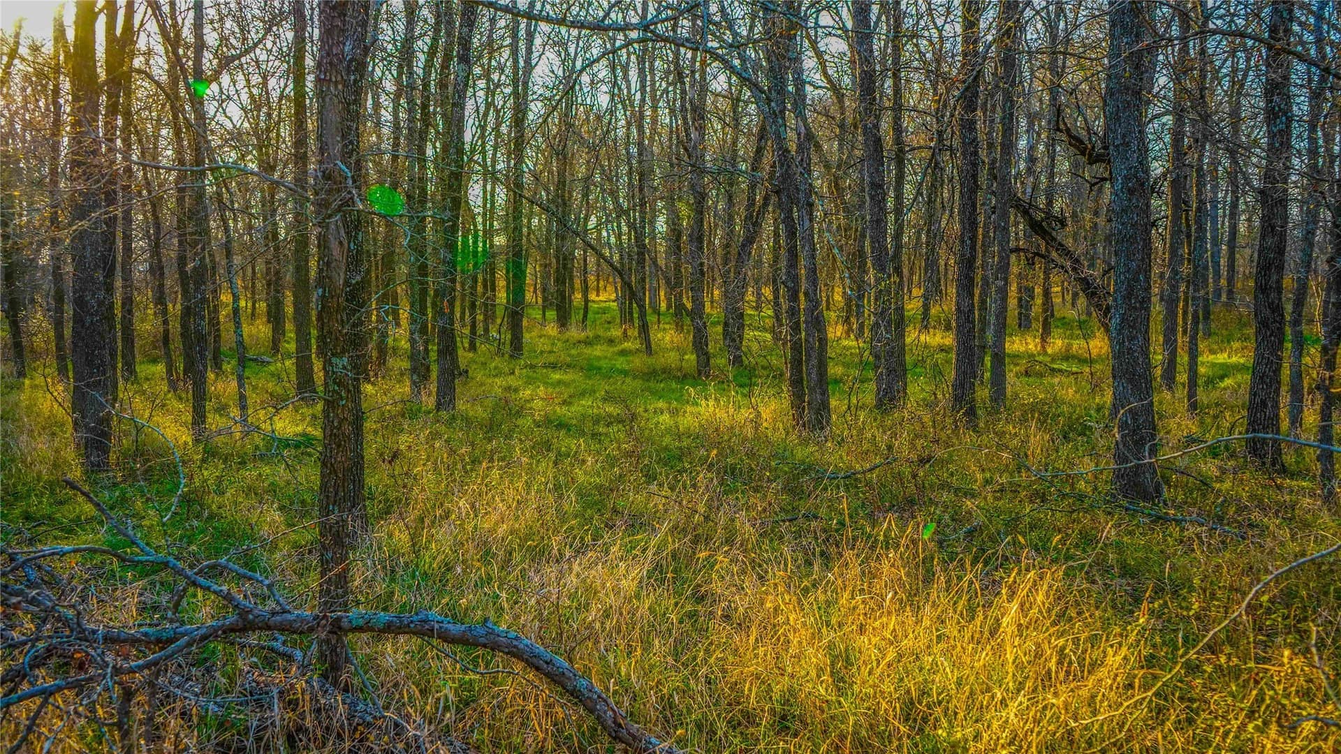 36 acres in Bell County - photo 30