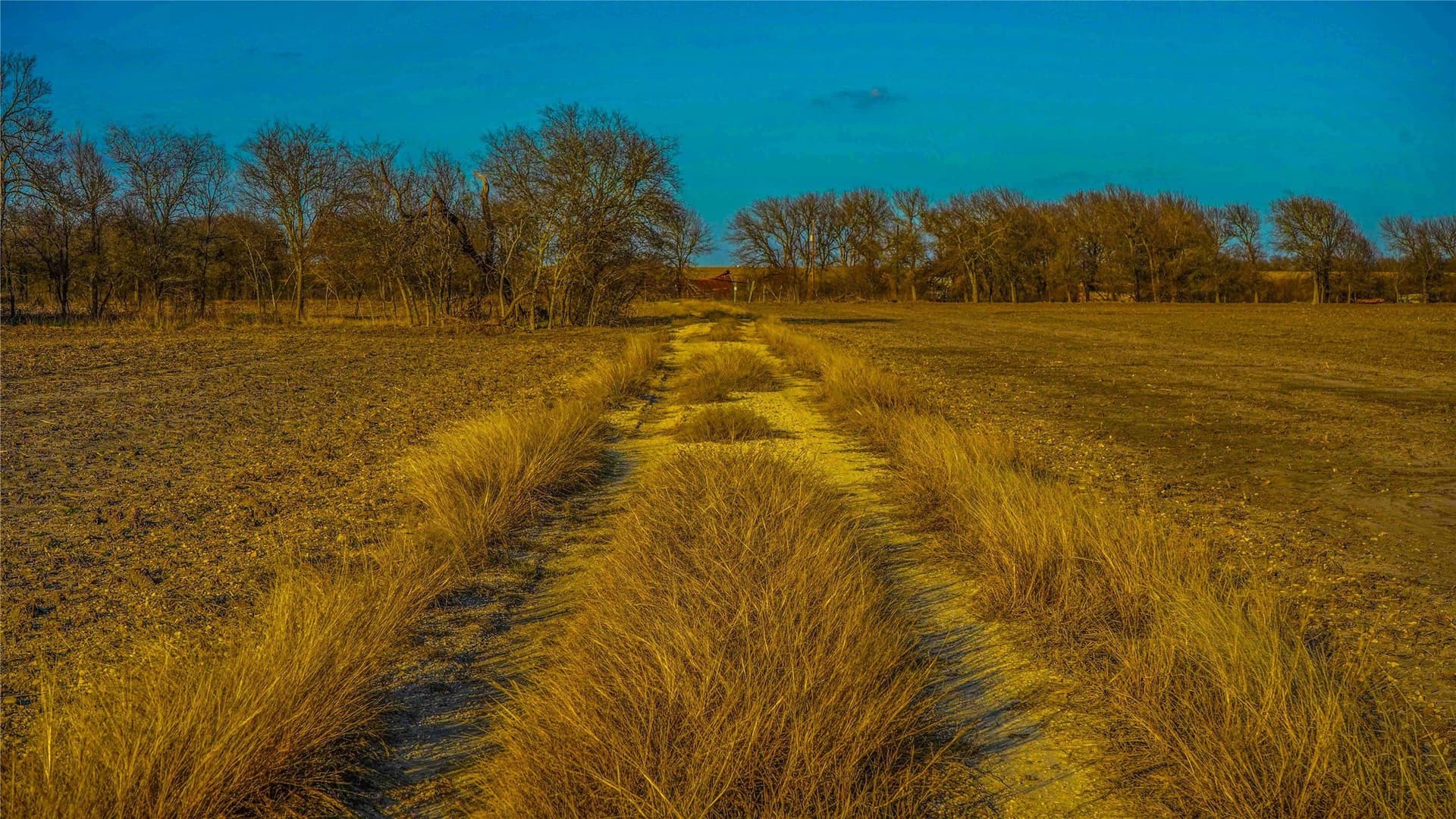 36 acres in Bell County - photo 18
