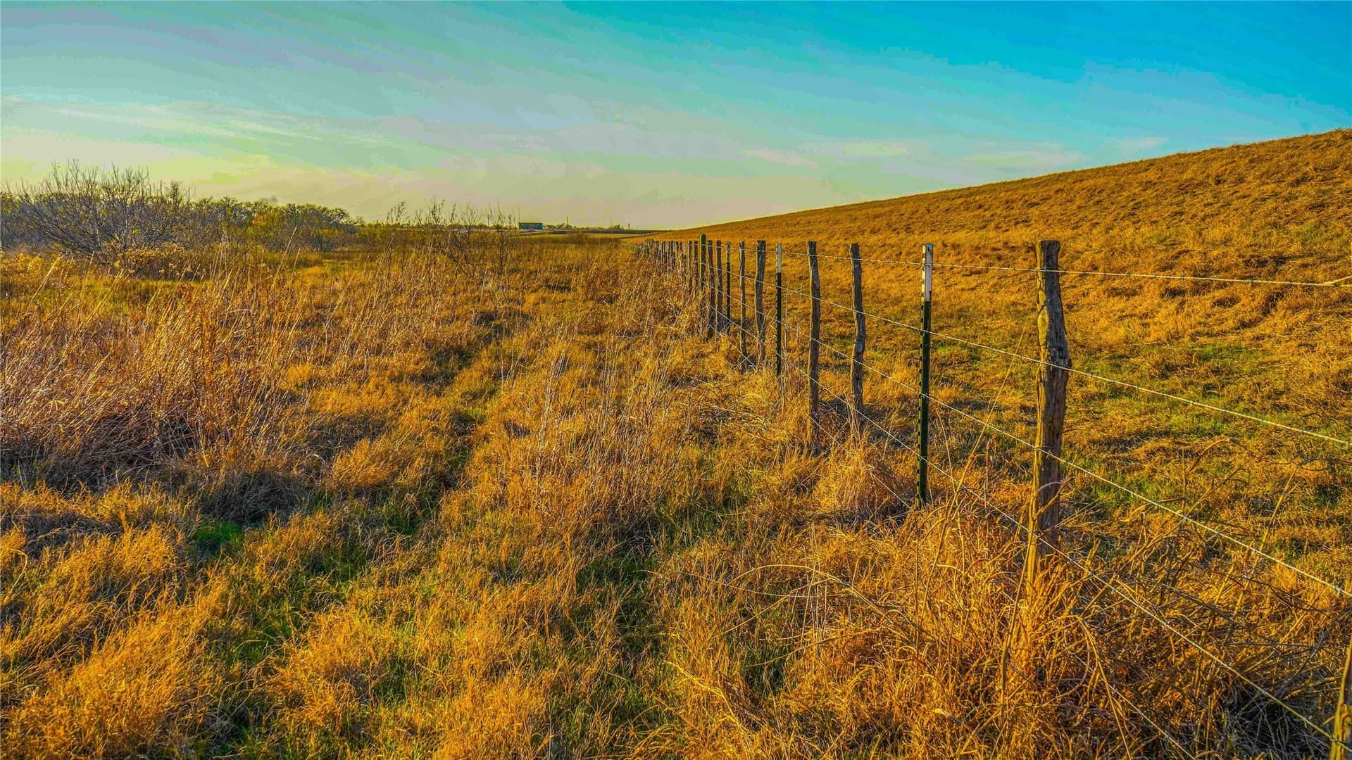 36 acres in Bell County - photo 6