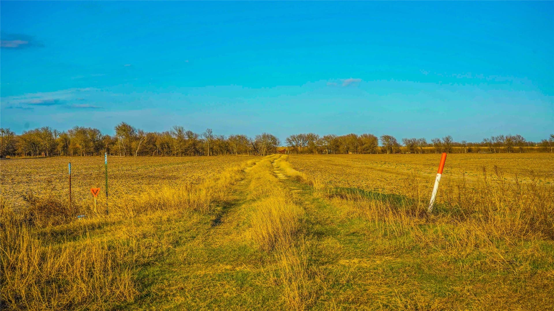 36 acres in Bell County - photo 16