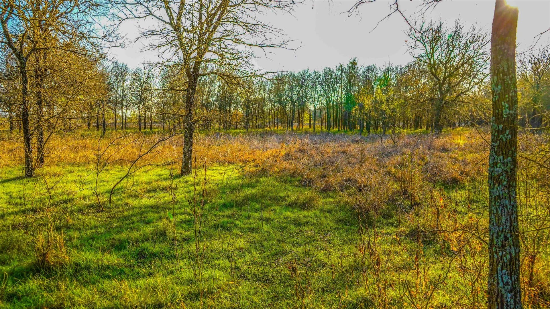 36 acres in Bell County - photo 25