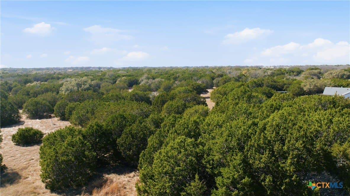 10.01 acres in Bell County - photo 14