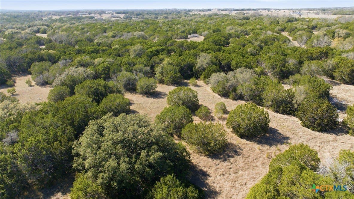 10.01 acres in Bell County - photo 9