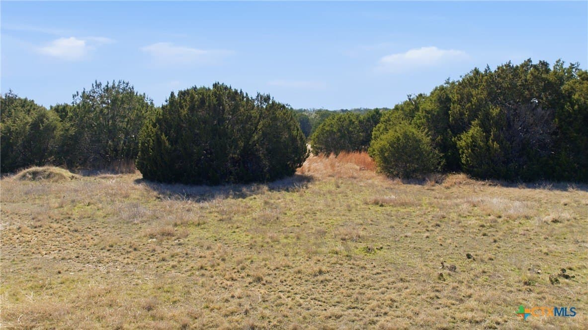 10.01 acres in Bell County - photo 12